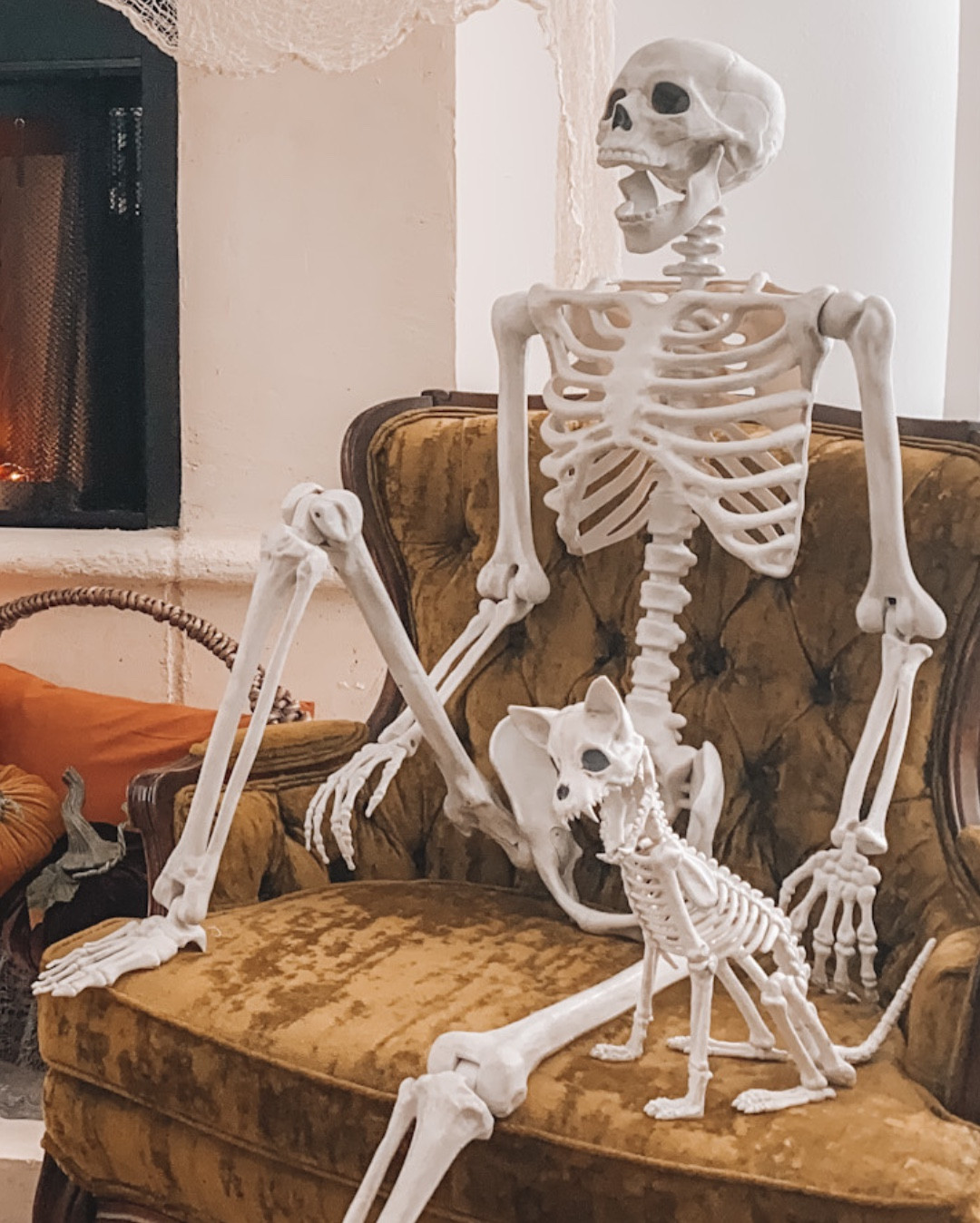 Favorites skeletons for Halloween 2024 

#LTKFallSale #LTKSeasonal #LTKHalloween