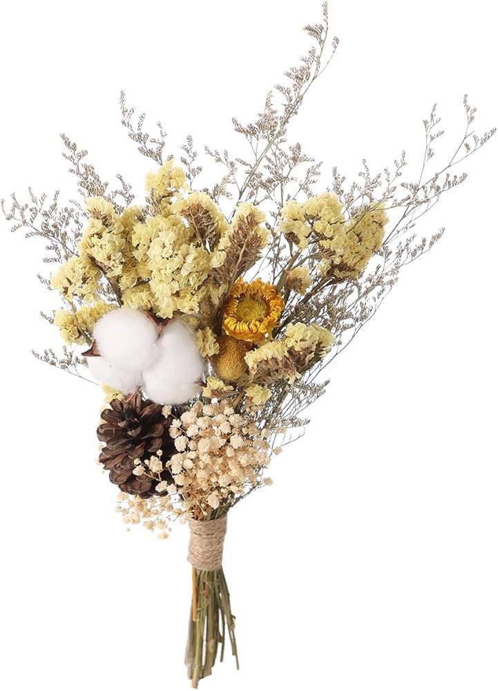 Botius 17" Natural Mixed Dried Flowers Bouquet Real Dried Lover Grass, Myosotis, Cotton, Babys Br... | Amazon (US)