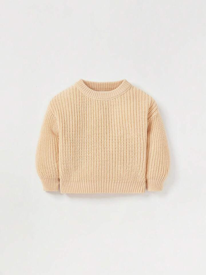 Cozy Cub Baby Casual Minimalist Round Neck Sweater With Long Sleeves | SHEIN