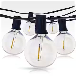Newhouse Lighting Outdoor/Indoor 25 ft. 25 Plug-In Globe Bulb String Lights with 27 Socket Big LE... | The Home Depot