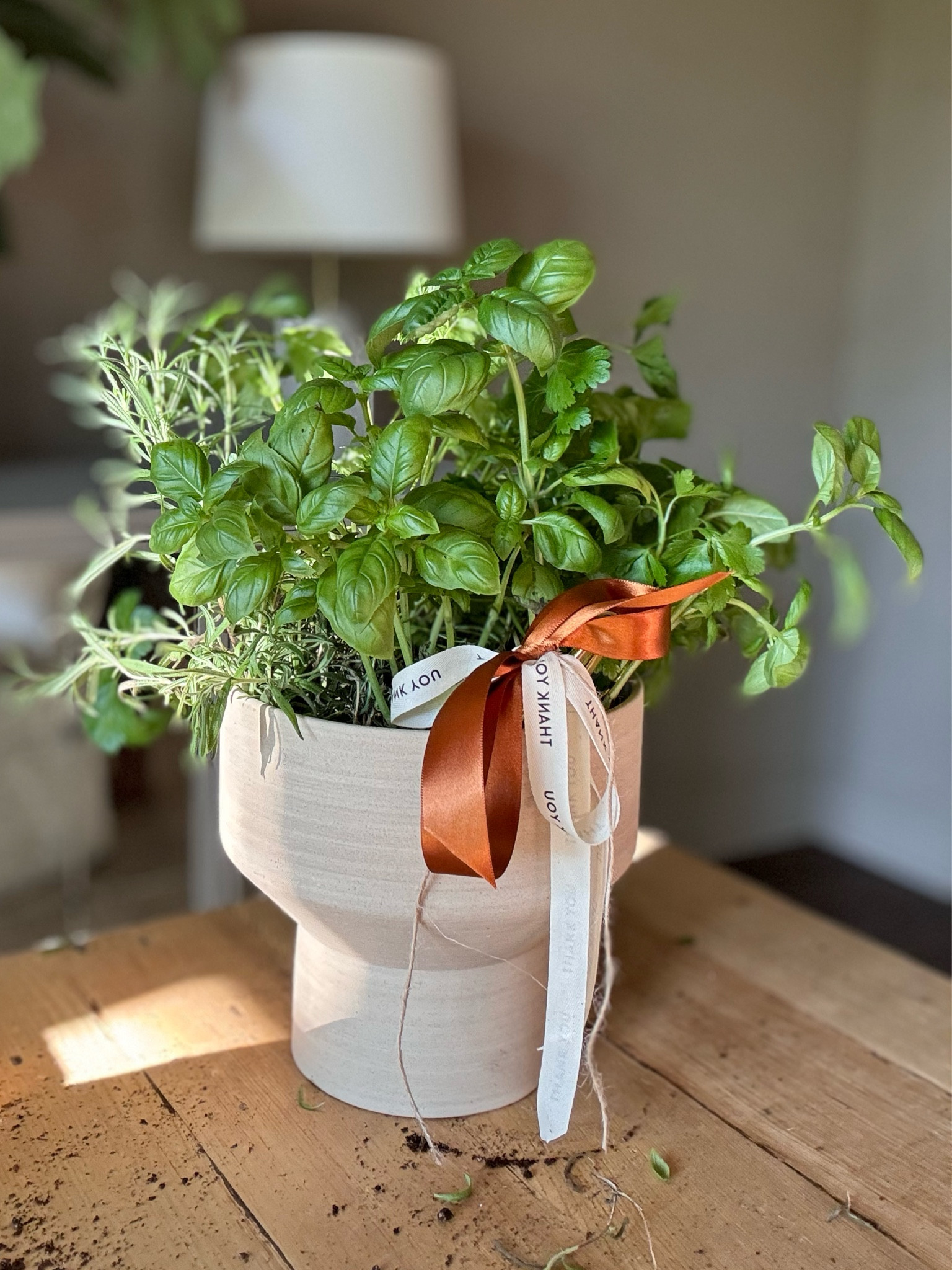 Love giving this hostess gift🪴✨

#LTKHome #LTKGiftGuide #LTKHoliday