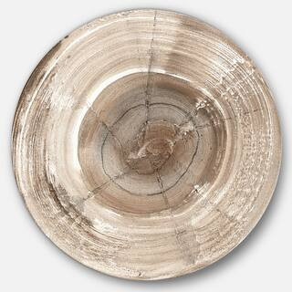Designart - Circle natural elements I - Geometric Metal Circle Wall Art in Beige | 36" x 36" | Michaels® | Michaels Stores