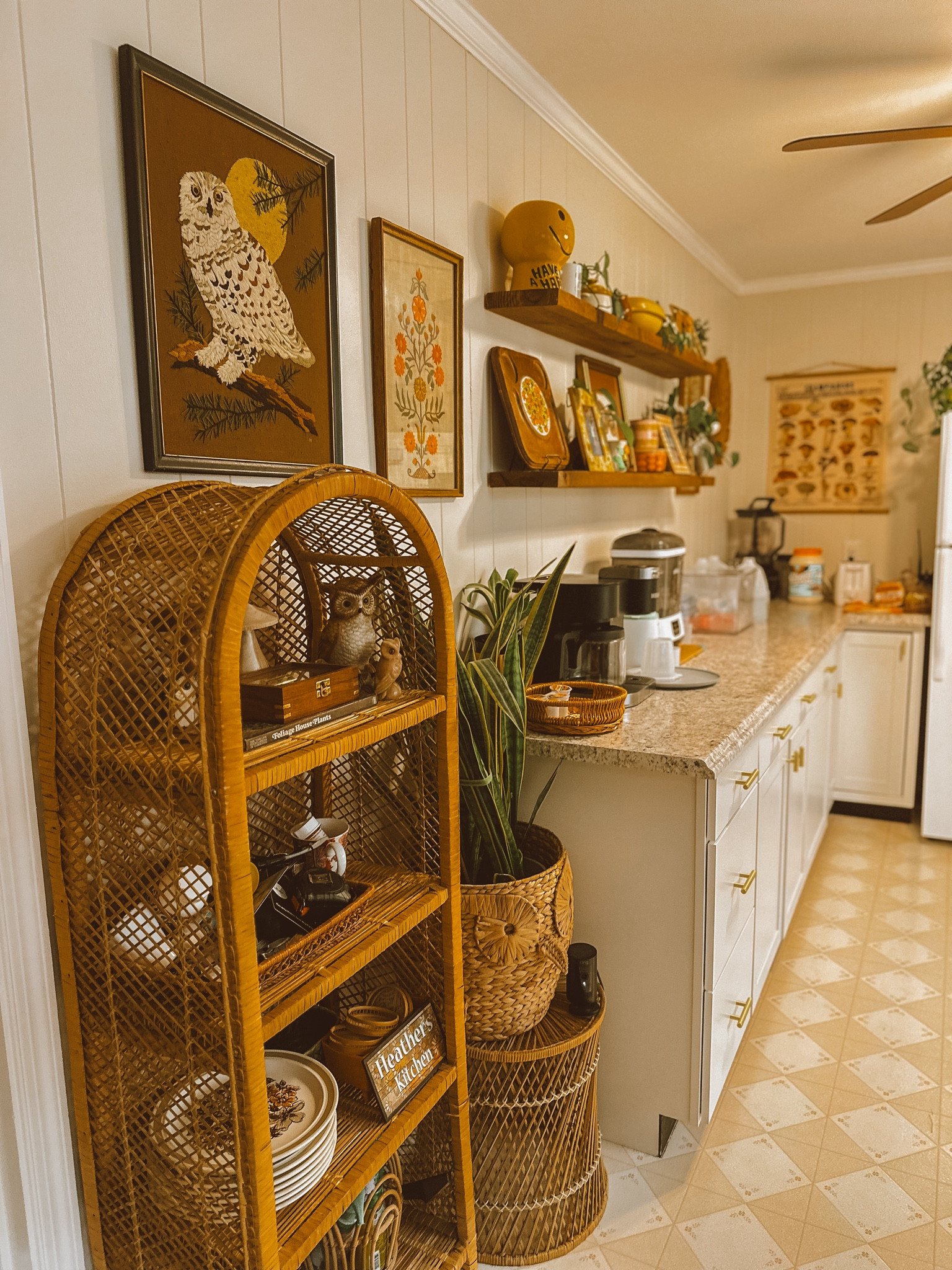 boho kitchen 🌿

#LTKHome #LTKSeasonal #LTKStyleTip