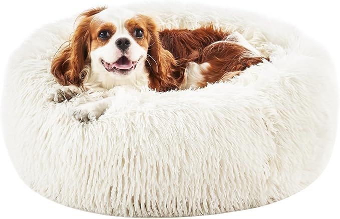 Calming Dog Bed for Medium Large Dogs, Donut Cuddler Cat Bed, Anxiety Relieving Pet Bed, Fluffy &... | Amazon (US)