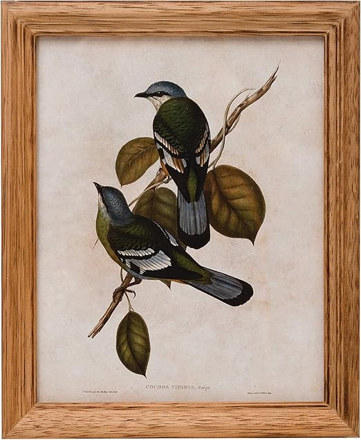 Creative Co-op 9.25 in x 11.5 in Wood Holds 8" x 10" Photo Frame, Brown | Amazon (US)