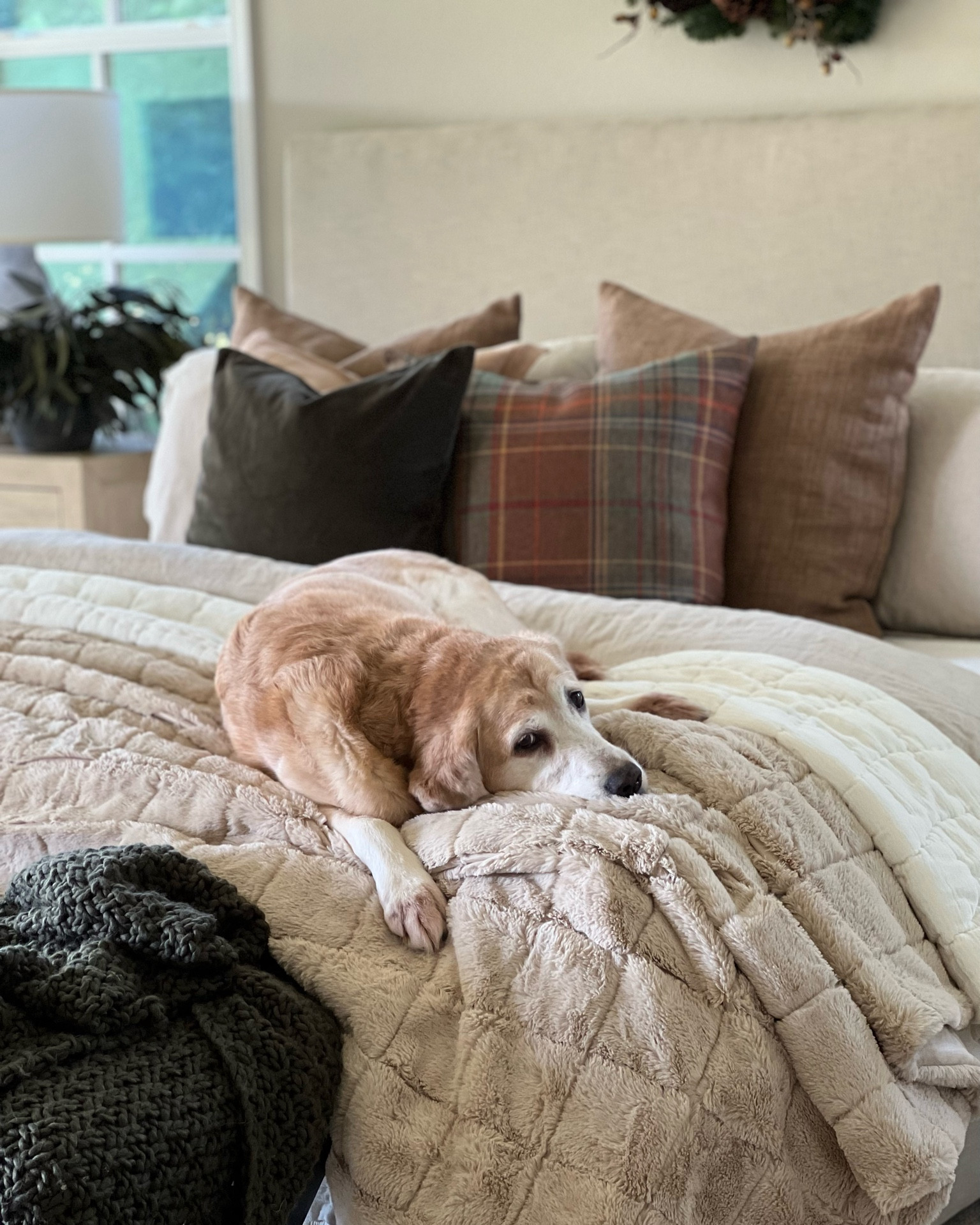 Holiday bedding 🙌

Duvet Cover — dark flax
Faux Fur Blanket — sand
Linen Sheets — white
Linen Pillows — bronze
Fleece Pillow — camel
Velvet Pillow — moss
Throw Blanket — grape leaf
Plaid Pillow — Woodrow plaid


Duvet, bedding, quilt, blanket, bedroom, bedroom inspiration, Home Decor, christmas, holiday decor, Christmas, decor, winter, winter bedding, winter decor

#LTKHoliday #LTKhome #LTKSeasonal