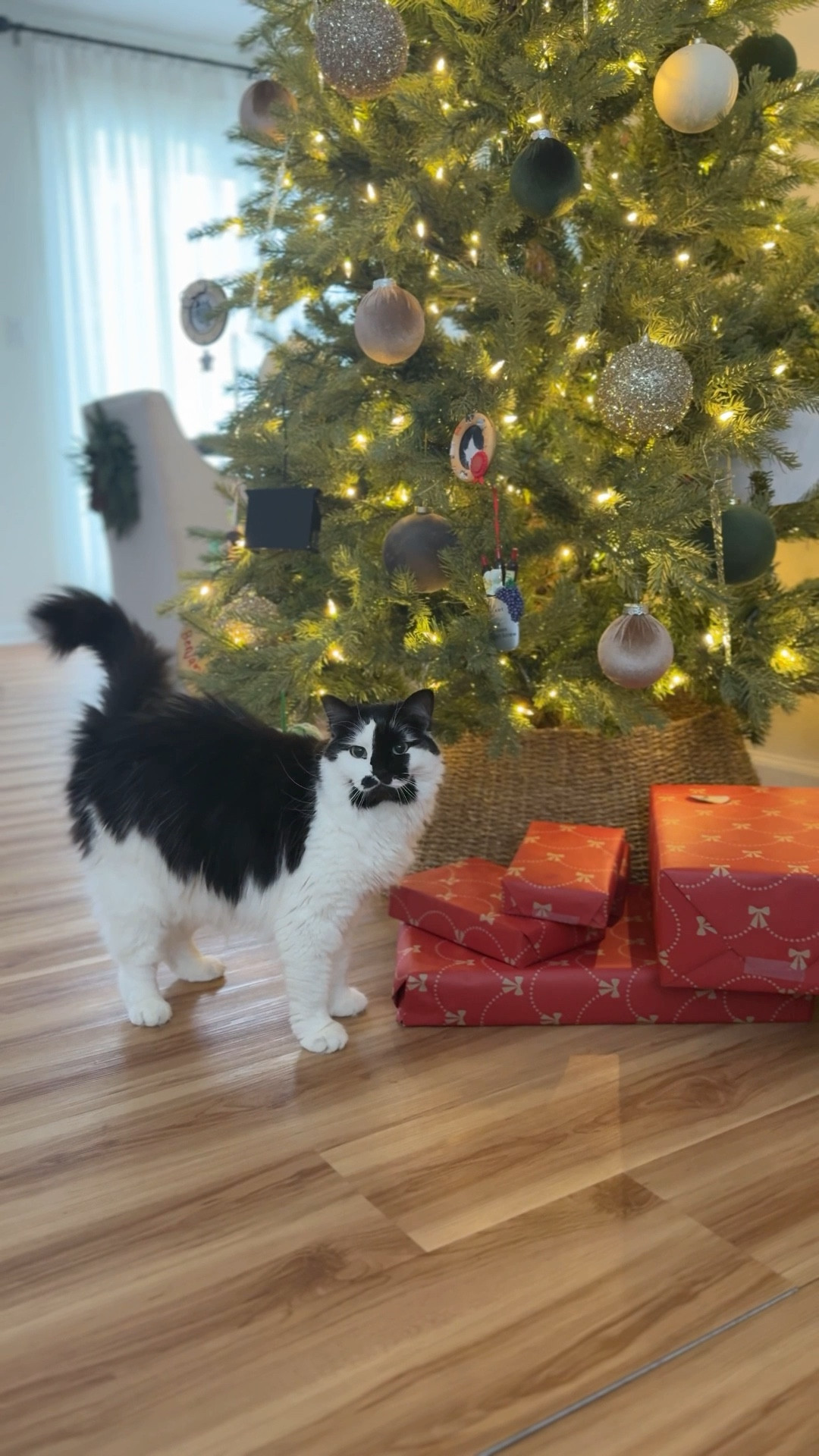 🎄🎄

#LTKHome #LTKHoliday #LTKSeasonal