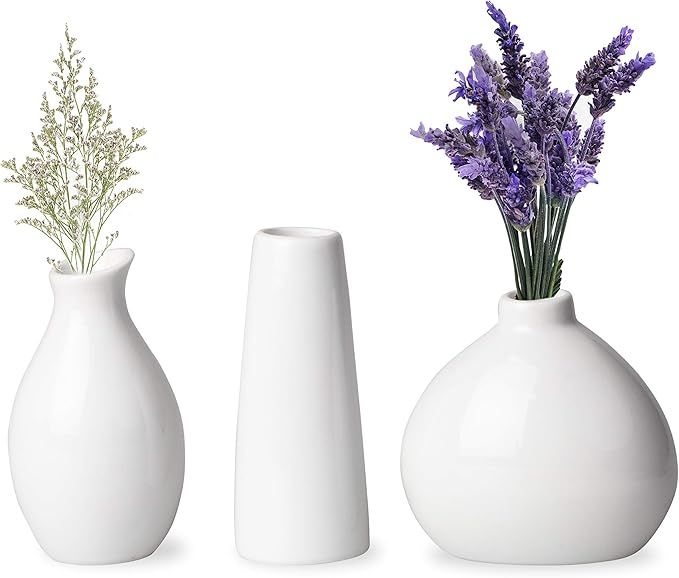 3 White Vases for Decor, Small White Vase Ceramic Vases for Home Decor | Amazon (US)