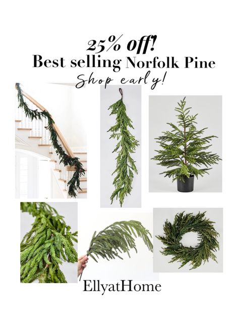 Best selling Norfolk Pine 25% off at Afloral! Use code  Norfolk. Christmas garland, wreath, stem, small potted tree. Shop early! Christmas, holiday decorating. Holiday home decor accessories. 

#LTKsalealert #LTKSeasonal #LTKhome