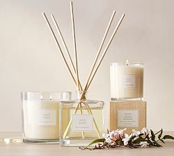 White Sands Scent Collection | Pottery Barn (US)