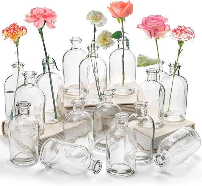 YOUEON 16 Pack Living Bud Vases Clear Glass Flower Vase 8 Oz Decorative Glass Bottles Small Vinta... | Amazon (US)