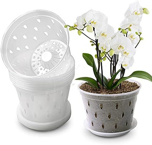 Clear Orchid Pot | Amazon (US)