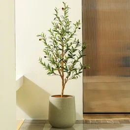 Muti-Trunk Olive Tree 6FT Artificial Plants with 10.6 inches Large White Planter. 10 lb. DR.Planz... | Walmart (US)