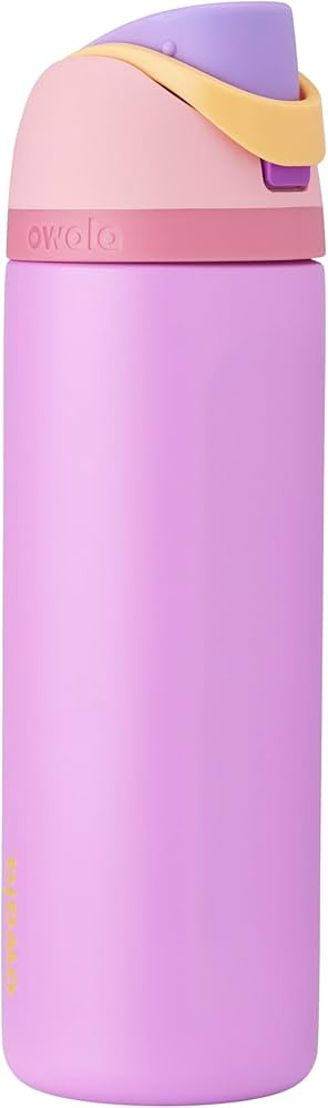 Owala Disney Princess FreeSip Insulated Stainless Steel Water Bottle with Straw for Sports and Tr... | Amazon (US)