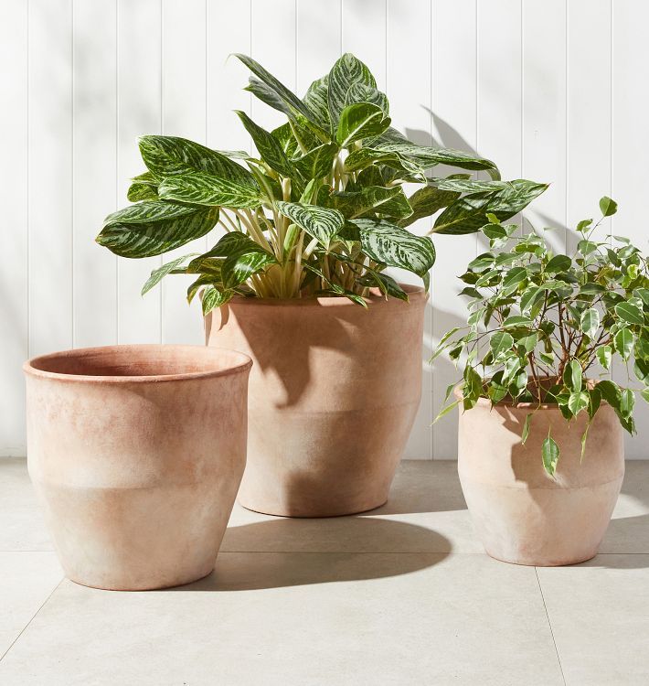 Antique Terracotta Planters | Rejuvenation
