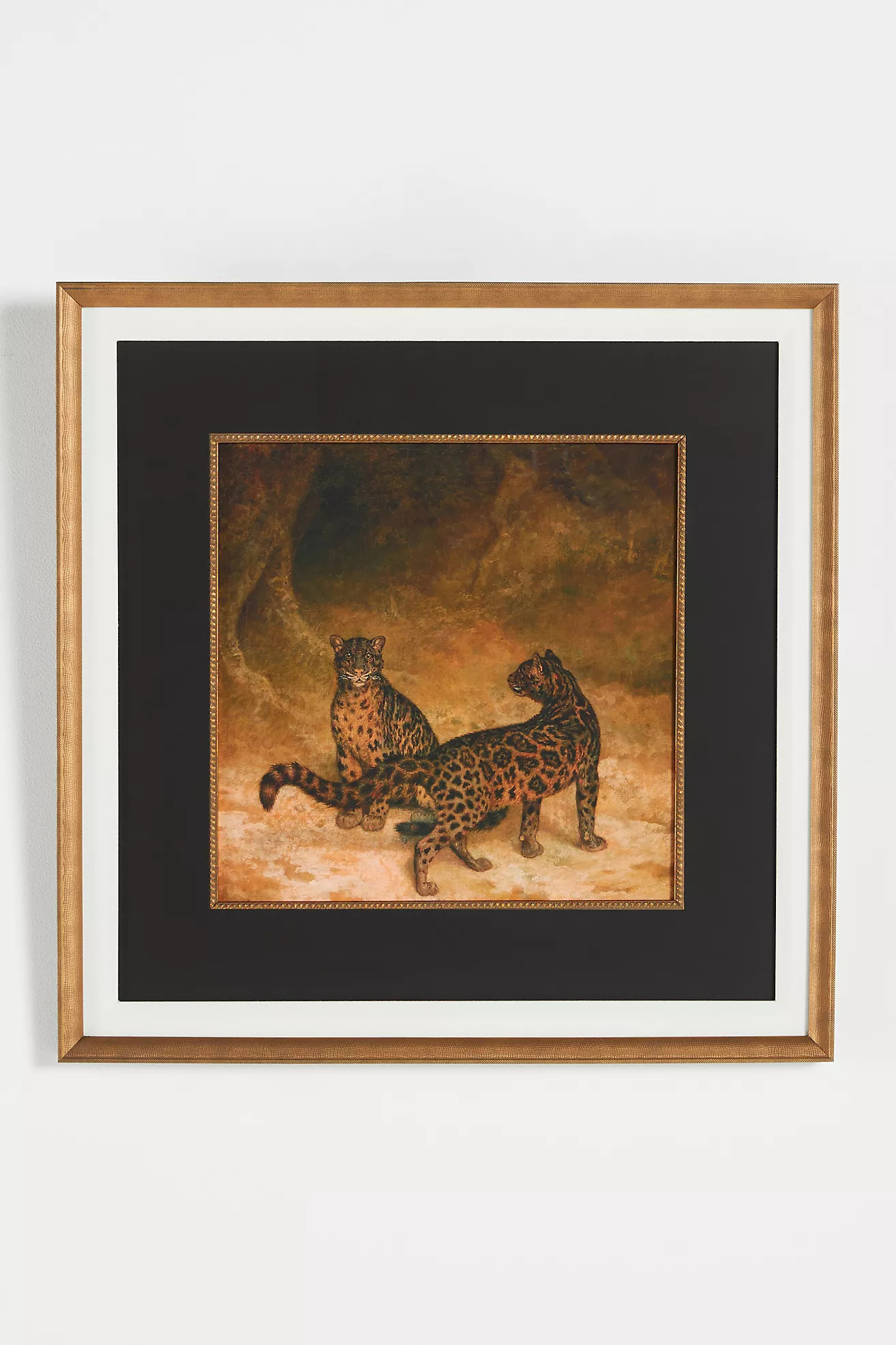 Clouded Leopards Wall Art | Anthropologie (US)