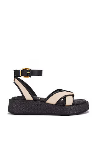 Sam Edelman Nylie Sandal in Black. - size 8.5 | Revolve Clothing (Global)