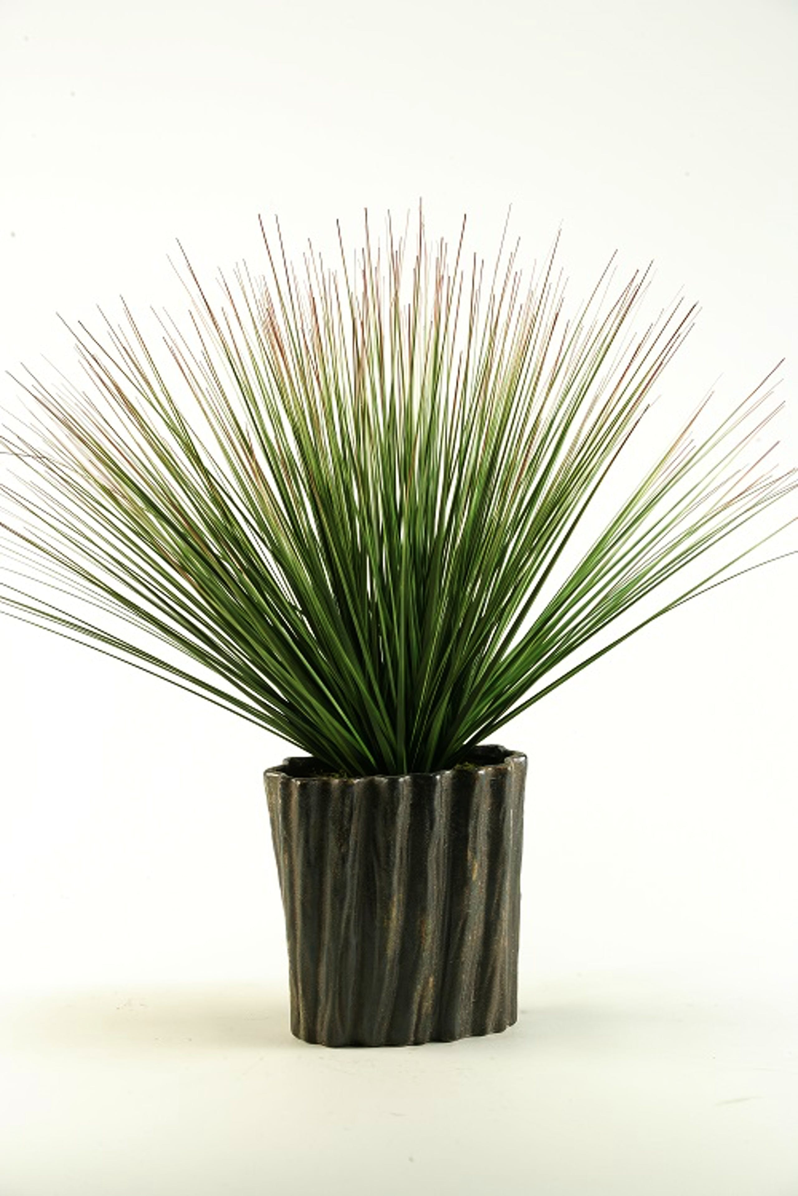 Green brown onion grass in oval dark brown ceramic planter | Modsy