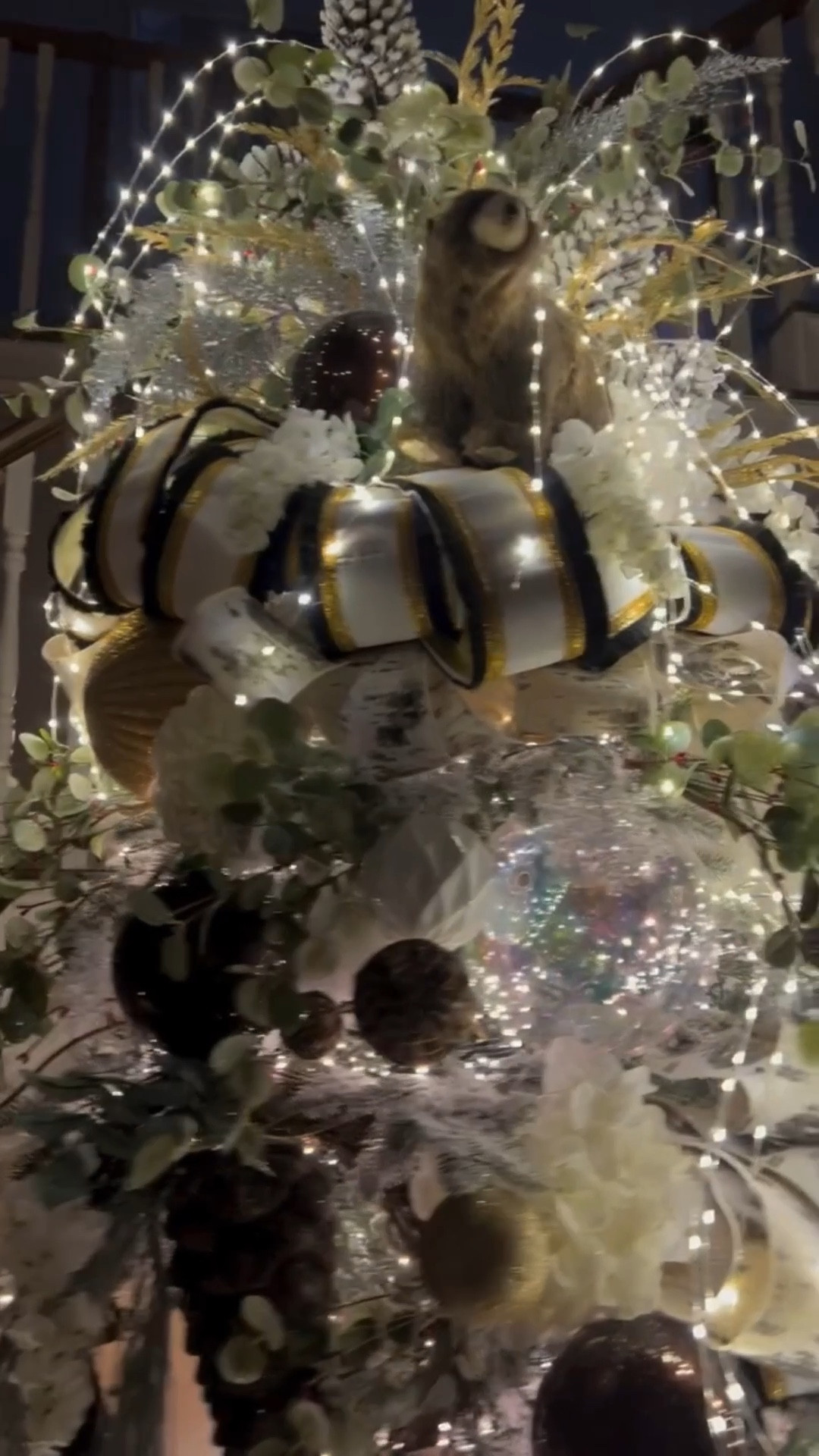 ✨ Bearly Christmas at night ✨

This tree is all about the glow! I covered the inside with cluster lights for that rich, full sparkle, then added cascading lights on the outside to make it shimmer from every angle. 🌟

Comment “Cascade” for links to these magical lights that twinkle.

Comment “Designs” for links to shop this entire tree design including the cluster lights, bears, and ribbon.

#ChristmasLights #ClusterLights #CascadingLights #twinkle #twinklelights #ChristmasTree #HolidayDecor #Christmasdecor #ChristmasDecorating #BearlyChristmas #HolidayHangups #ribbon #ornaments #bears