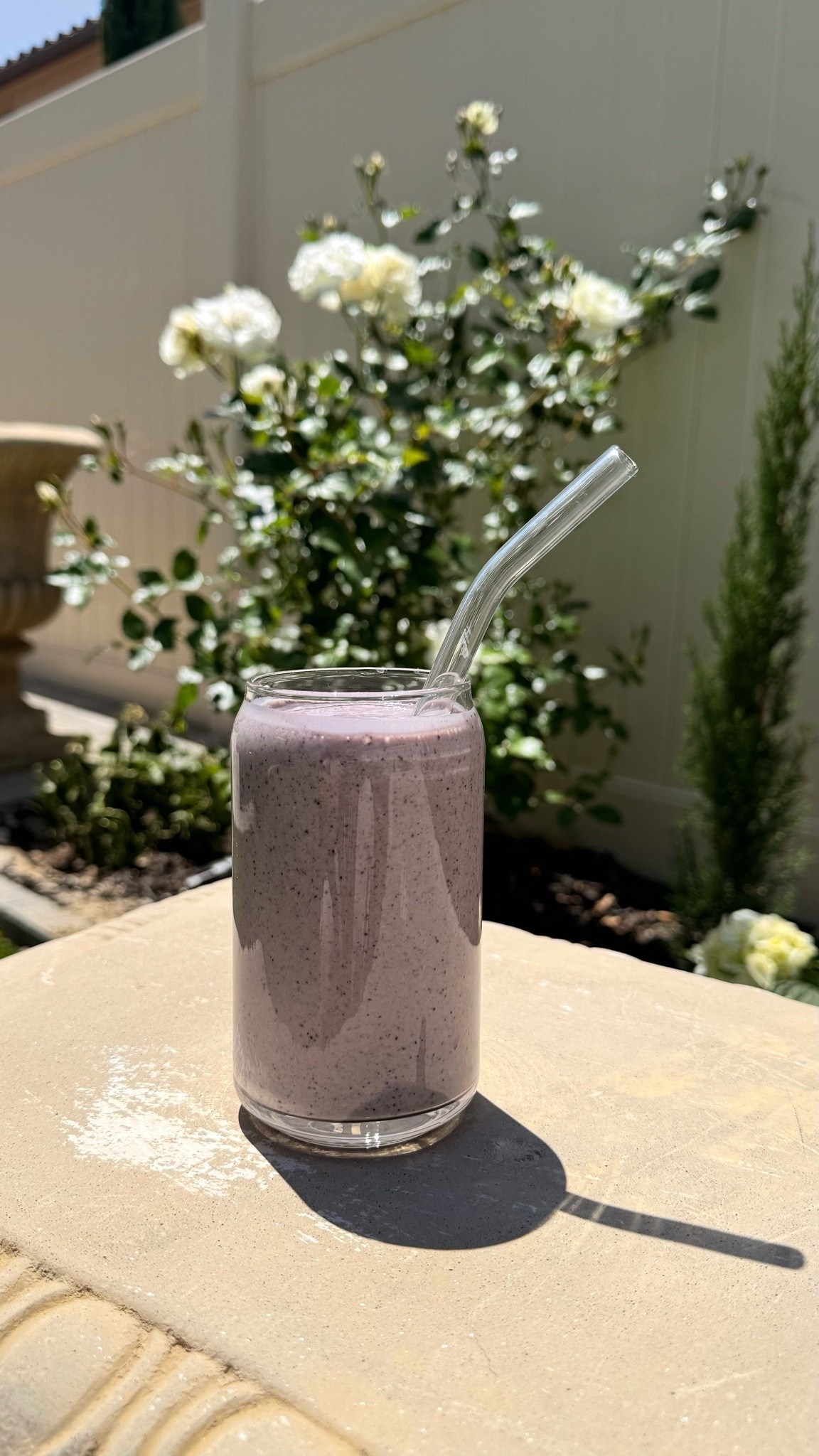 Blueberry Chai Smoothie 🤍

#LTKselfcare #LTKfoodie