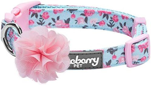 Blueberry Pet 9 Patterns Made Well Floral Dog Collars | Amazon (US)