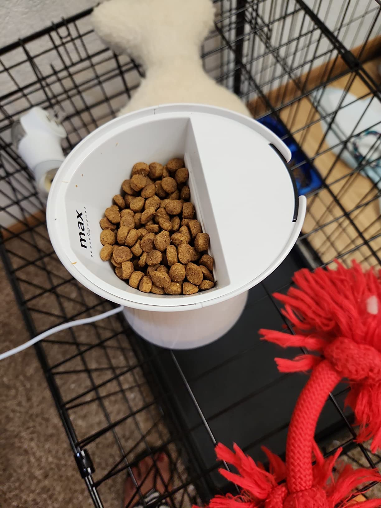 Visit the Furbo Store | Amazon (US)