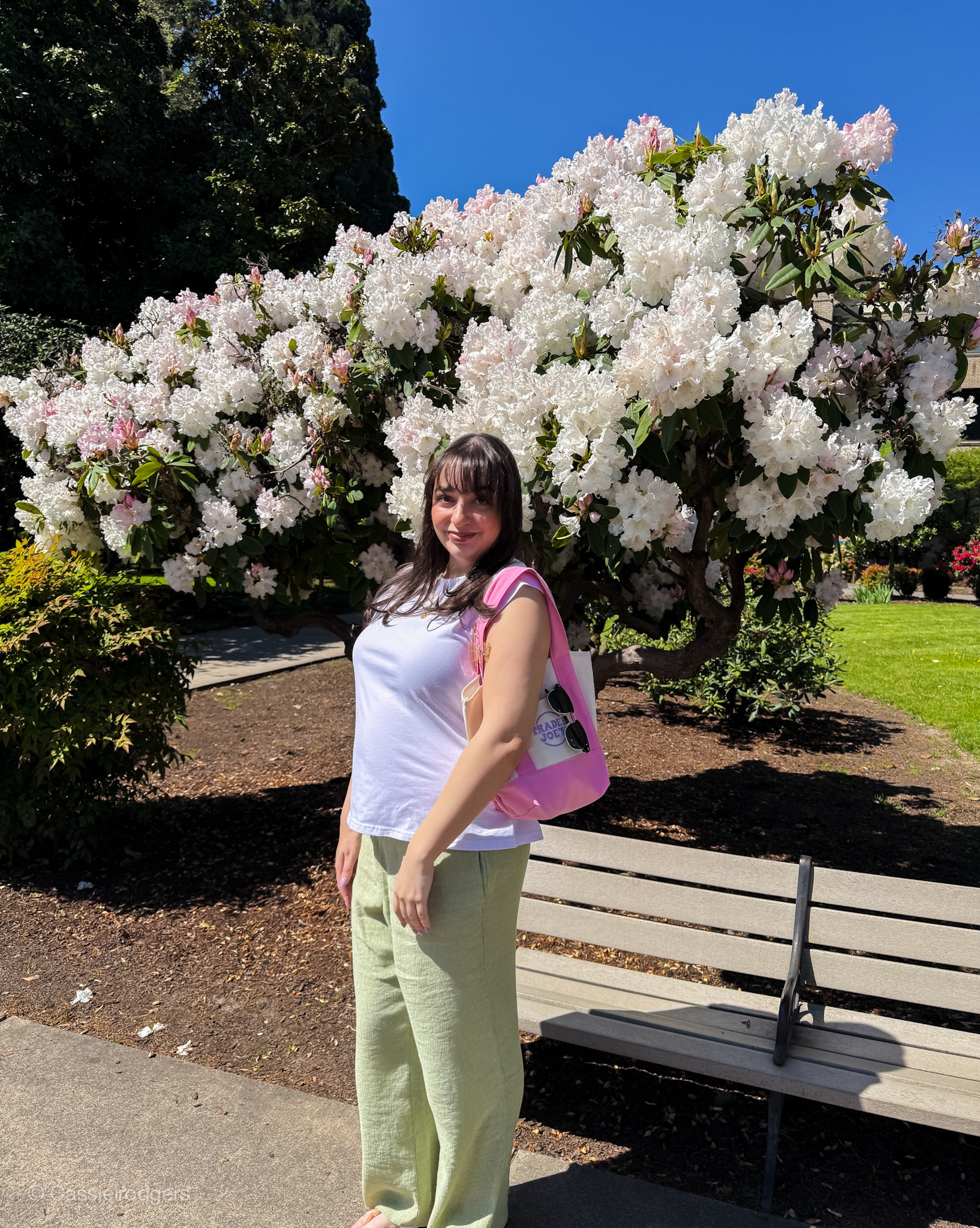 Midsize spring outfit inspo 

#LTKootd #LTKSeasonal #LTKMidsize