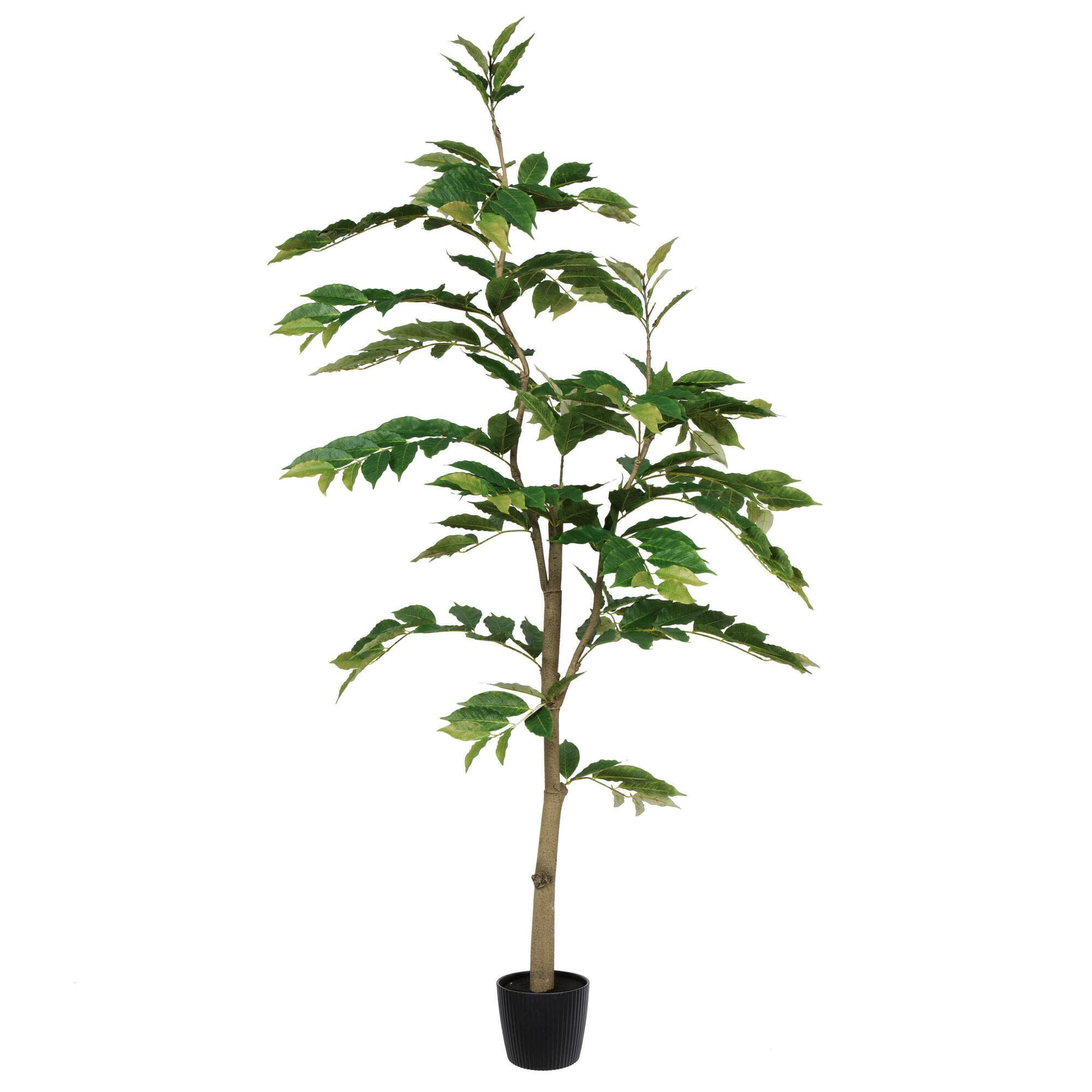 Vickerman 6' Realistic Potted Artificial Green Nandina Tree with 284 Leaves - Large Faux Indoor T... | Amazon (US)