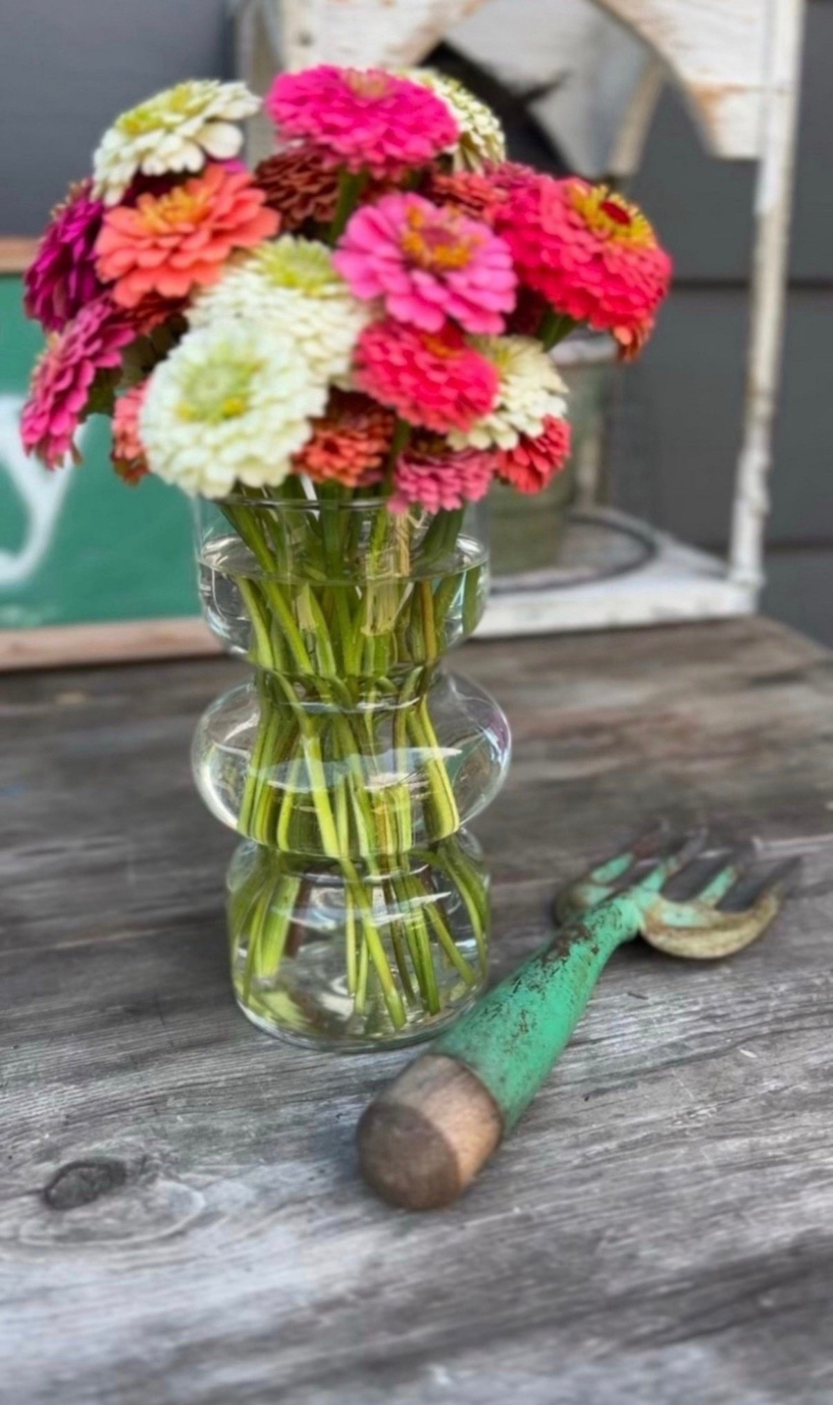 This little bubble vase has been such a sweet one for garden blooms 🌸 It’s the perfect size for zinnias, easy on the budget, and would make a really cute gift for a flower lover. I added a few vintage green tools and loved the whole look!

#LTKSaleAlert #LTKHome #LTKSeasonal