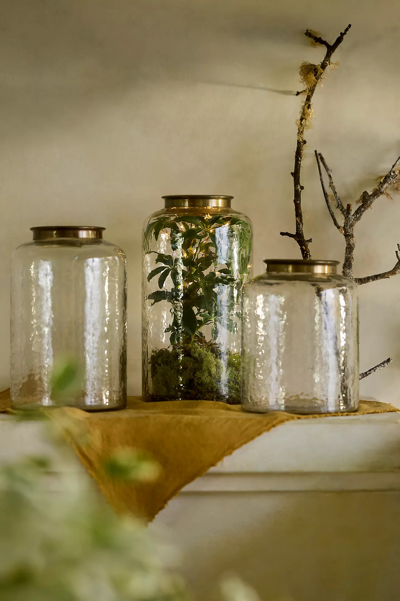 Hammered Glass Terrarium with Lid | Terrain