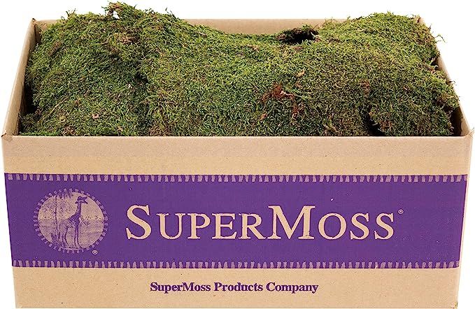 SuperMoss (21588) Sheet Moss Preserved, Natural, 5 Pounds (20-24 sq. ft.) | Amazon (US)