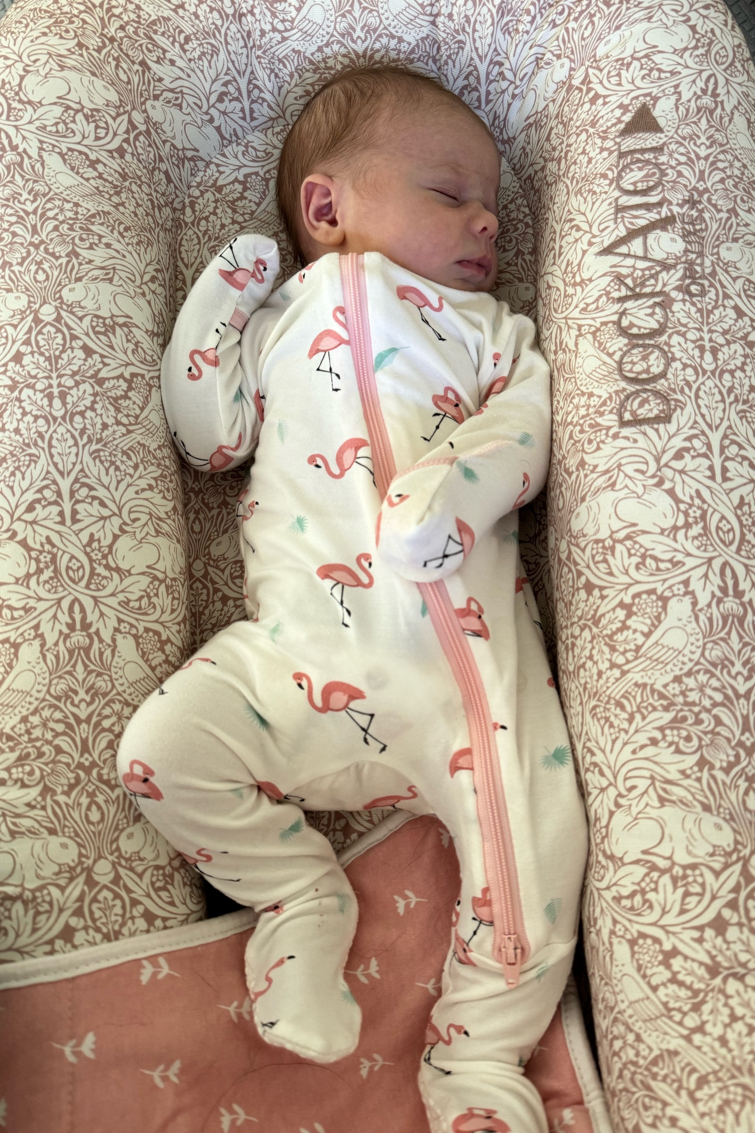 Our favorite baby Jammies! We love these Soft Baby Bamboo Viscose Footie Pajamas, 2 way Zipper Closure make easy for diaper changes, soft enough for the most sensitive skin and they have the cutest patterns, they offer sizes 0-24 Months. Kensley is in size 0-3 months and she is 10.5lbs🦩

#baby #newborn #babyregistry #expecting




#LTKFamily #LTKBaby #LTKKids