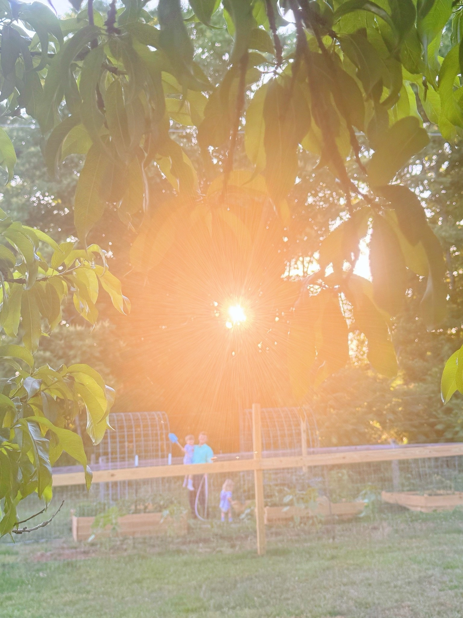 When coming back home to the farm feels just as  m a g i c a l … ✨🚜🍉🪴🐓🪏🍋🪑🇺🇸 #homesweethome #farmsweetfarm #goodtobehome #themagicofhome #ourfarmdreamcometrue 

There is truly nothing better than waking up back home sweet home 🏡 on the farm 🌾 yesterday morning!! ☕️ And these two brother bestie cuties 👶🏼🩵👶🏼 amaze 🤩 me with their magnatile block creations… my little builders!!! 🛠️ 

Every season ☀️ (our first year here on the farm 🫶🏽) feels so exciting 🤭 because our property is covered in all kinds of new beautiful flower 🌼 blooms 🌸 every time I turn around!!!! Such a sweet surprise coming back to our sweet farmhouse on the hill 🏡 to all these stunning flowers 💐 popping up!!! 🧡 And Sweet Baby Levi Rhett 👶🏼 is back in is element picking and blowing dandelions 🌼, ofcourse hehe!! 🤭

And then spent all day out taking care of our chickies 🐓🐥, collecting 🧺 eggs 🥚, playing in the dirt 🤎 (& getting filthy as always hehe 🫶🏽), watering 💦 the orchard 🌳 and garden 🪴- and it truly just feels so good to be back home in our happy place… where every day feels like  m a g i c  🪄 here on the farm!!! 🚜🌼✨

And this hot feels like summer weather ☀️ called for some front porch time sippin’ homemade lemonade - the best!! 🍋🧊🫙🚜🩵🌾 And is there anything better than some fresh cut watermelon 🍉 on a hot summer night?! 🌞 Our girlies 🐓 got to enjoy some, too!! 😋 We even got to harvest 🧺 our first zucchinis 🥒 of the season tonight in the garden 🪏, too!! 🤗 Oh happy day!!! 🪴 Every day is a dream 💭 come true 🌟 getting to watch my babies 👶🏼 grow up out on this farm 💛 we always dreamed of 💫🪻 - thank you, Lord !!! 🫶🏽🌼