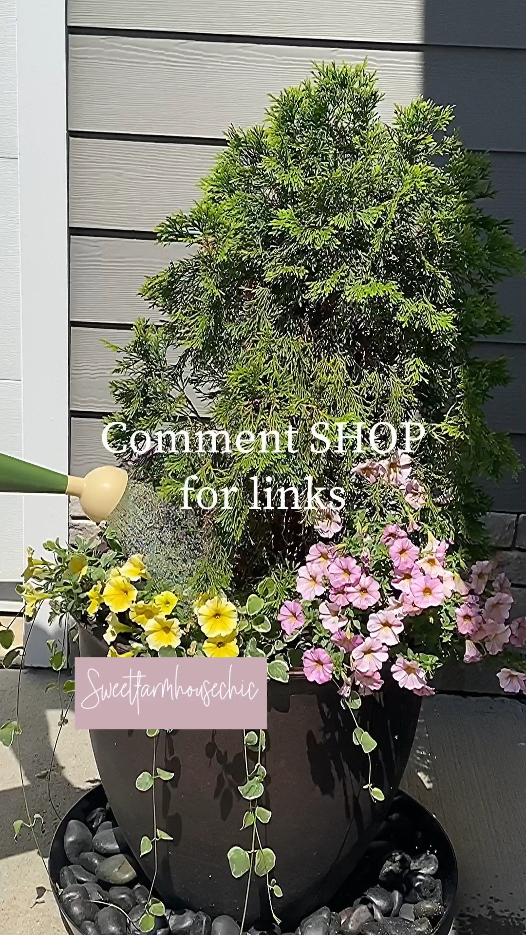 No more trail of dirty water!!

I used a 25” saucer under my planter and filled it with river rocks. Love the clean look🥰

Saucer, planter, black polished river rocks, plant stand



#LTKhome #LTKSeasonal #LTKVideo