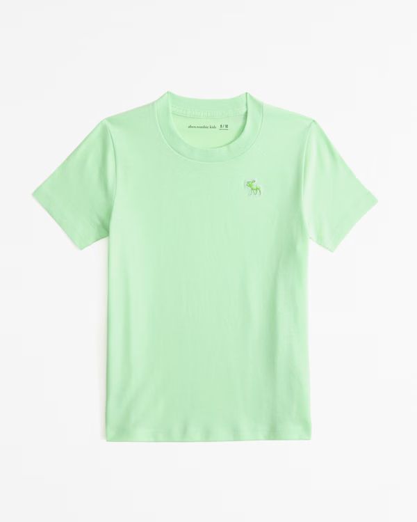 essential icon crew tee | Abercrombie & Fitch (US)