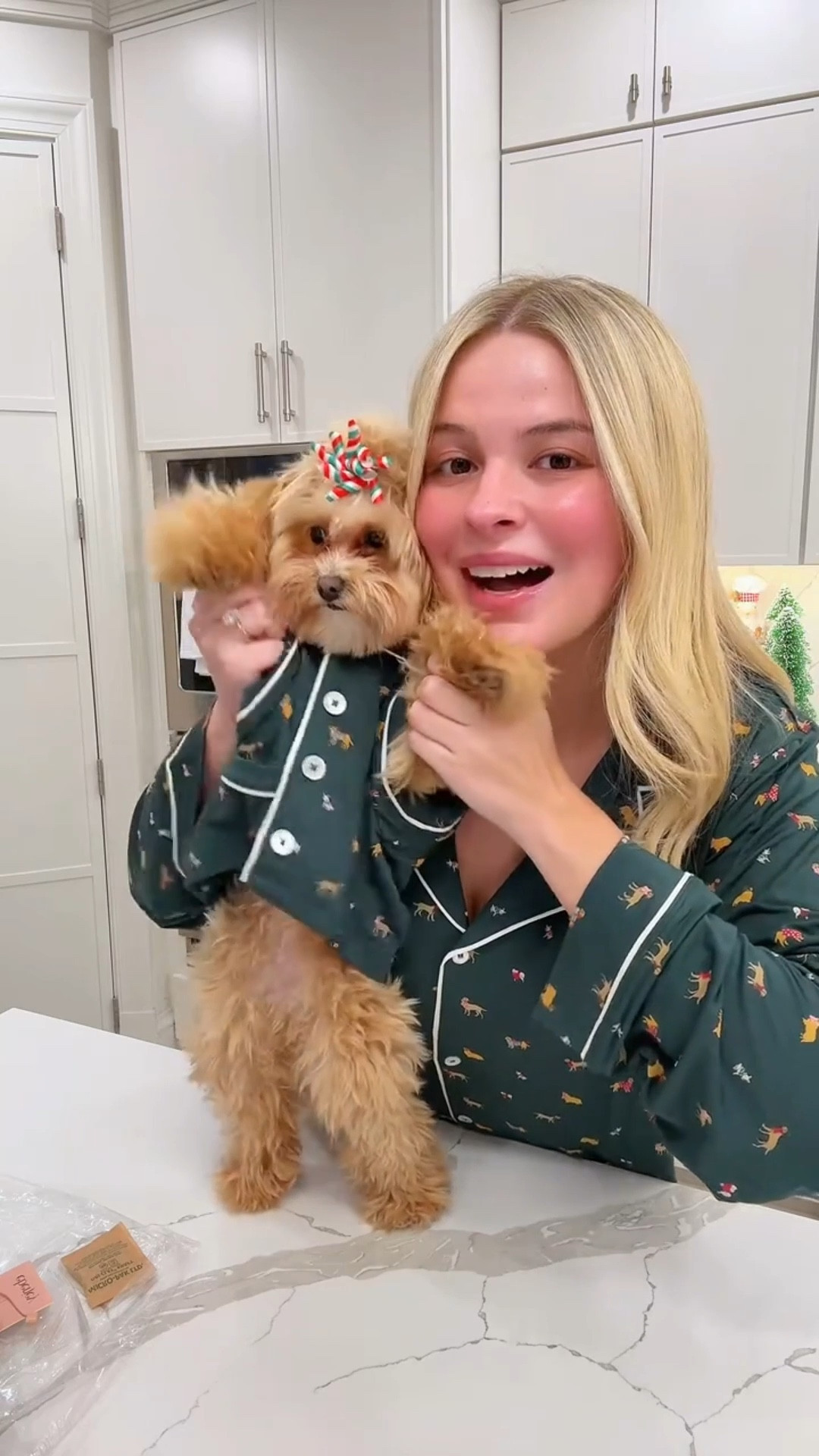 already SO EXTRA as a dog mom🦴🥲👏🏼 scared for child…. #dogmom #momlife #maltipoopuppy #tryonhaul 

#LTKHoliday #LTKdayinmylife #LTKootd