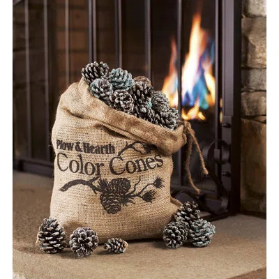 Color-Changing Fireplace Fuel | Wayfair North America