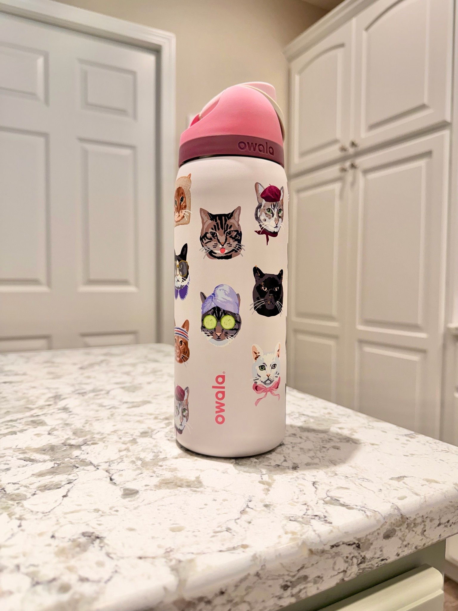 I’m OBSESSED with this cat Owala! (There is one for the dog lovers too!)

#owala #urbanoutfitters #catmom #waterbottle

#LTKdayinmylife