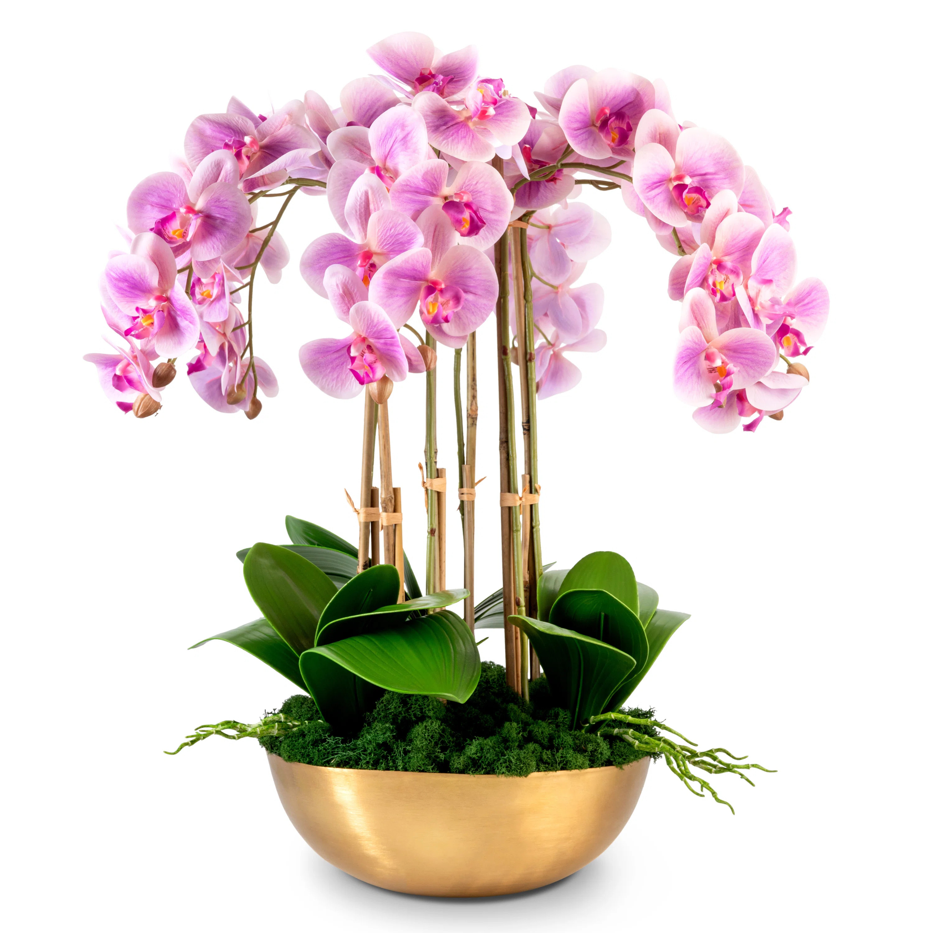 Abigail Gold Realtouch Orchid | Wayfair North America