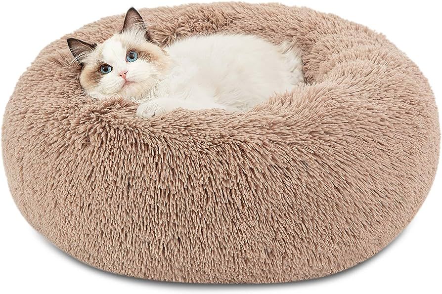 Bedsure Calming Cat Beds for Indoor Cats - Small Cat Bed Washable 20 inches, Anti-Slip Round Fluf... | Amazon (US)
