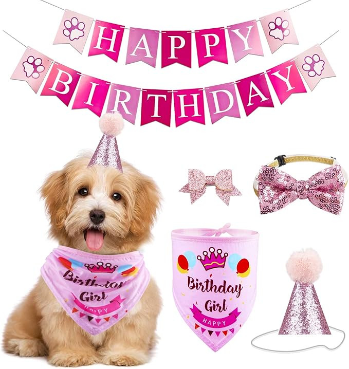 GAGILAND Dog Birthday Bandana Hat Banner Set for Medium & Large Dogs Cute Bow Tie Scarf Dog Boy G... | Amazon (US)