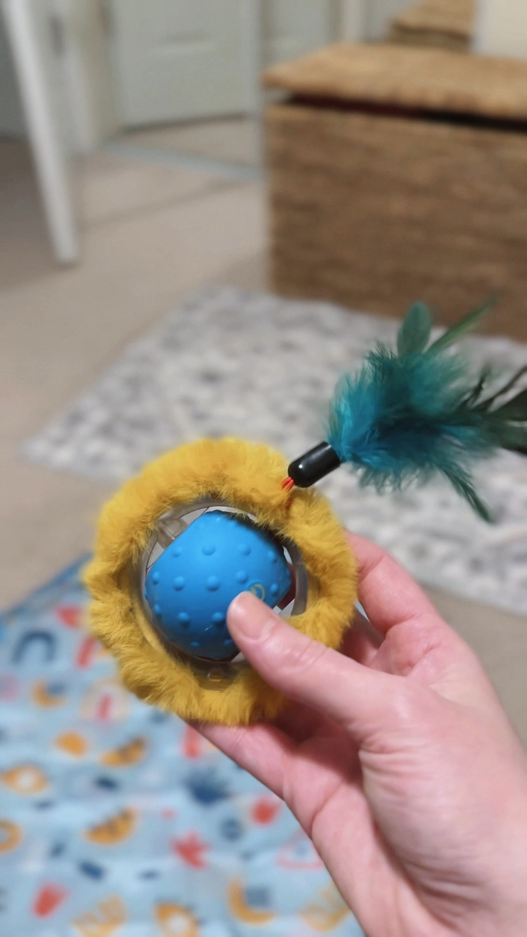 Interactive cat toy | Found it on Amazon 

#LTKFamily #LTKPets #LTKSaleAlert