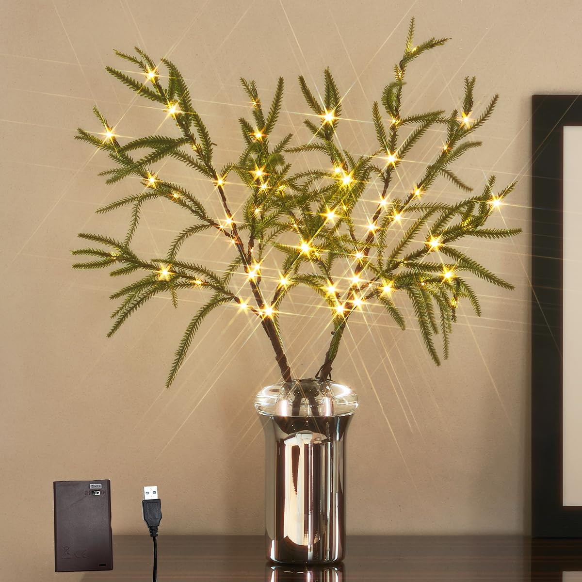 Hairui Lighted Norfolk Pine Branches Battery Operated with Timer, Tree Branch Lights 32IN 60 LED ... | Amazon (US)