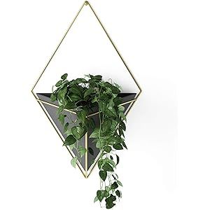 Umbra, Black/Brass Trigg Large Hanging Planter Wall Decor, for Displaying Small Plants, Pens and ... | Amazon (US)