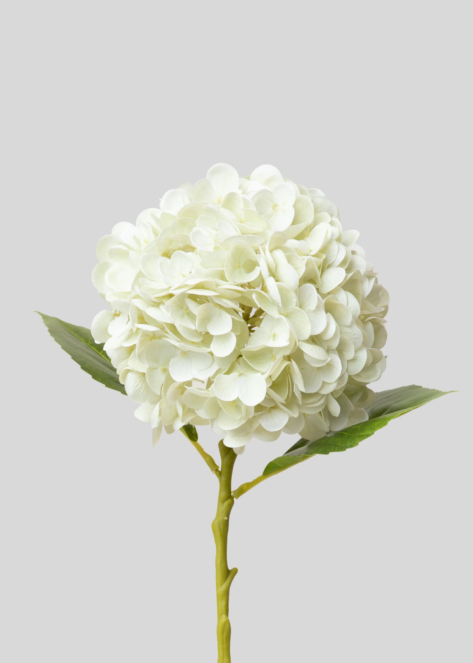 Faux Hydrangea in Cream White | Real Touch Flowers | Afloral | Afloral