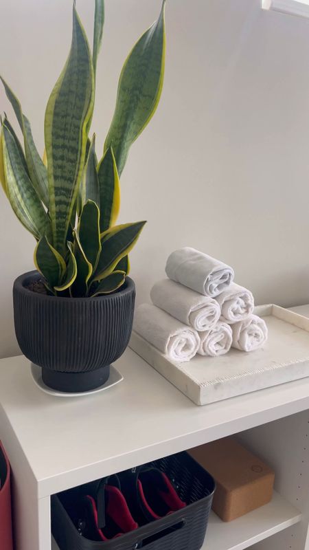 Modern Organic Planter

The perfect planter for my snake plant. Can’t wait to see how it grows. 

Home garden. Planter. Pots. Outdoor living. Patio decor  

#LTKSeasonal #LTKhome #LTKstyletip