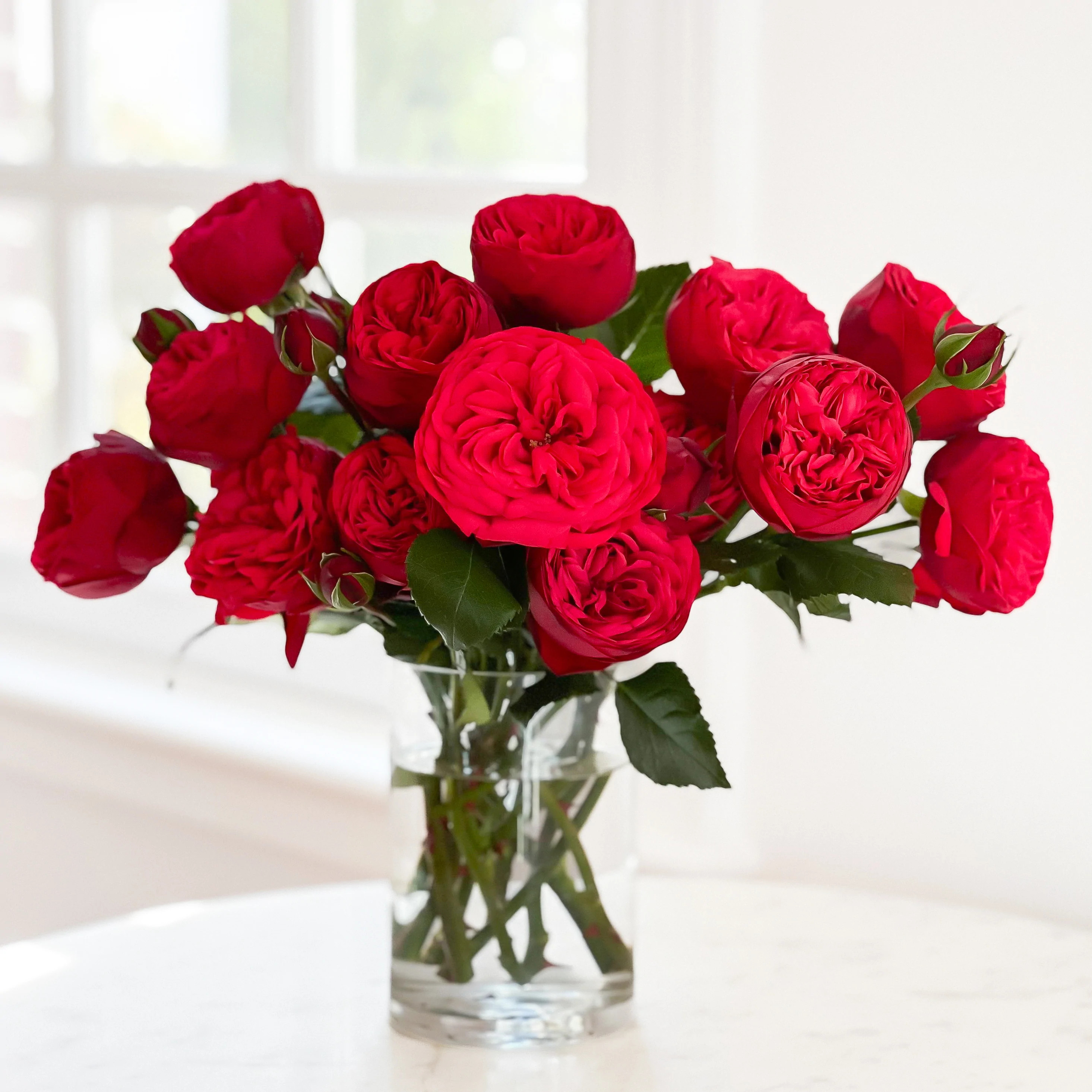 Piano | grace rose farm