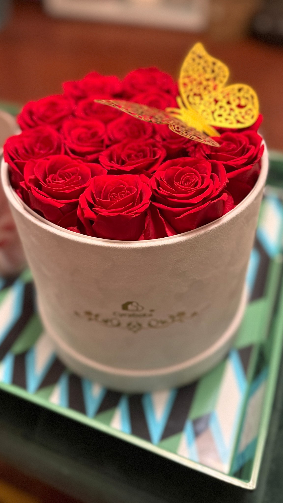🌹I was gifted Forever Roses from Amazon! Perfect gift for yourself or a loved one! #amazonfind #amazon #giftsforher

#LTKspringtrends #LTKdayinmylife #LTKselfcare
