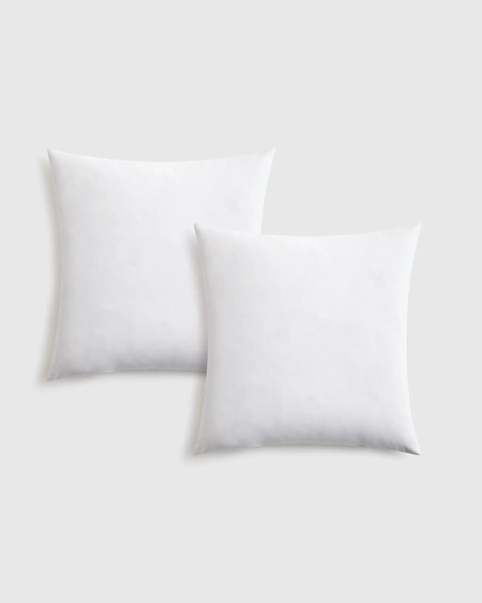Premium Feather and Down Pillow Insert (Set of 2) | Quince