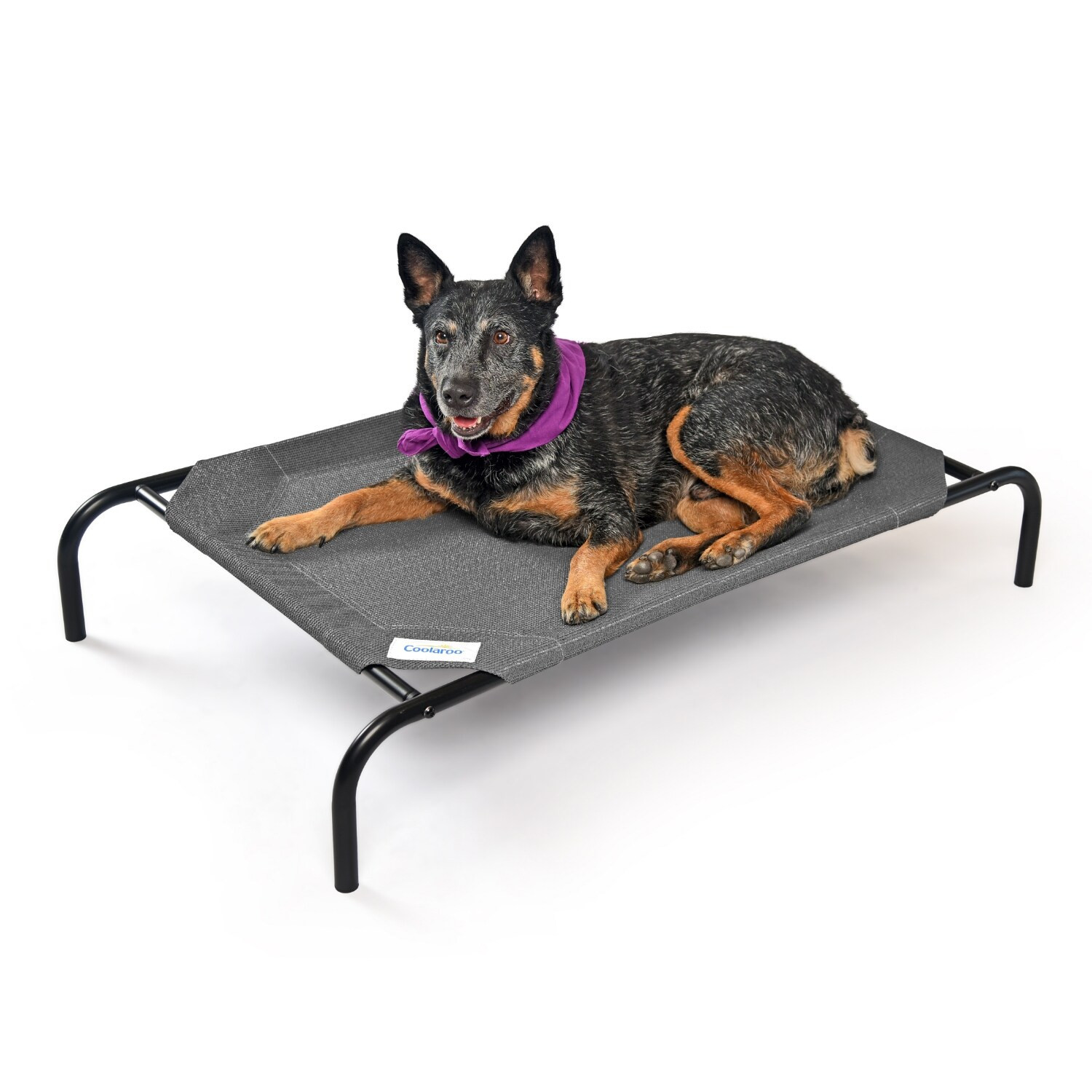 Coolaroo Rectangular Original Outdoor ( Extra Large) XL in Gray | 459918 | Lowe's